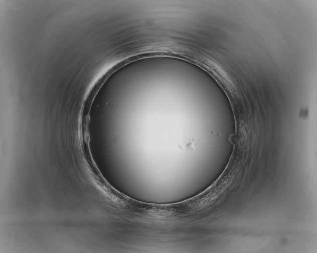 X0000096400788200802071600