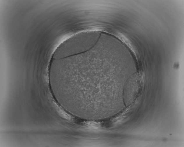 X0000096400789200802071600