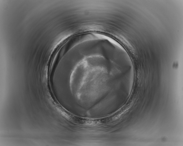 X0000096400790200802071600