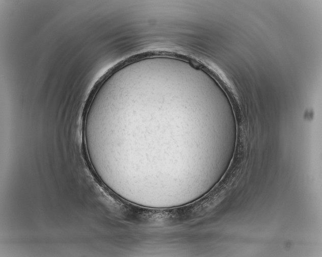 X0000096400791200802071600