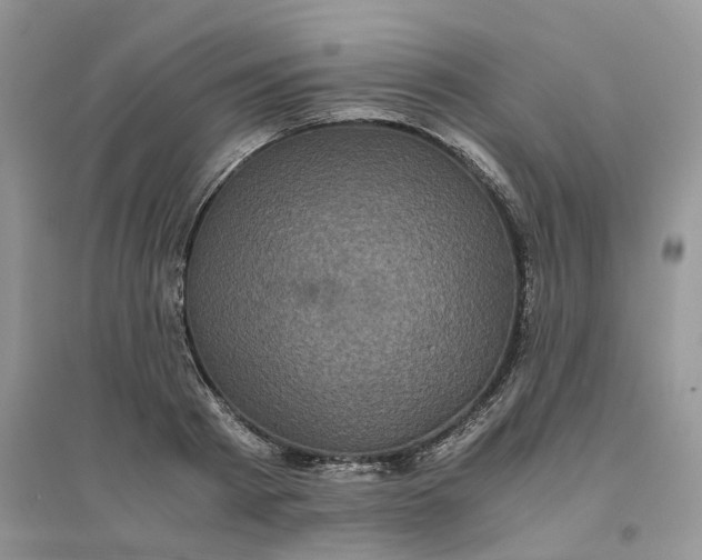 X0000096400793200802071600