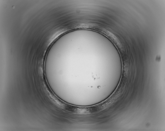 X0000096400794200802071600