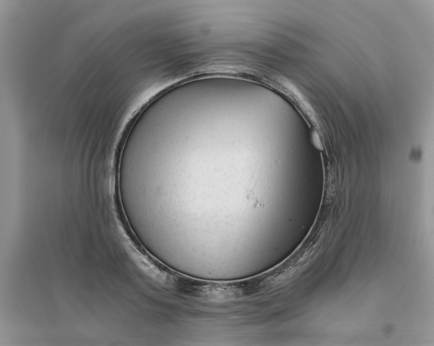 X0000096400795200802071600