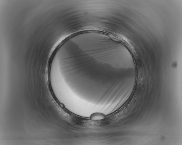 X0000096400796200802071600