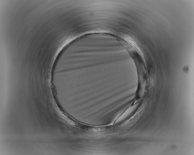 X0000096400797200802071600