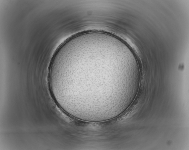 X0000096400799200802071600