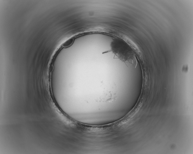 X0000096400800200802071600