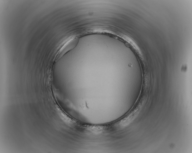 X0000096400801200802071600