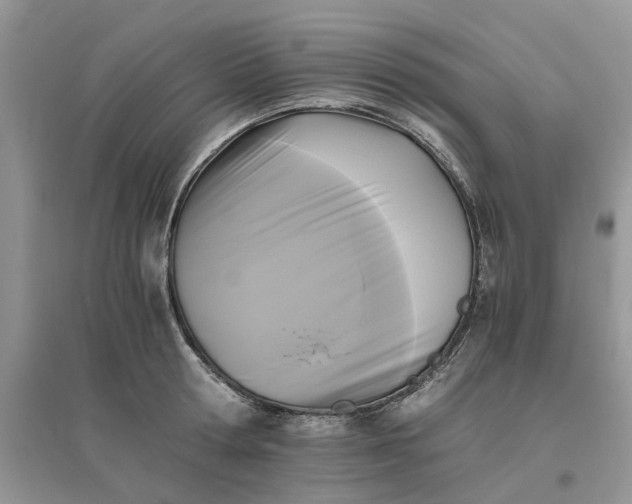 X0000096400802200802071600