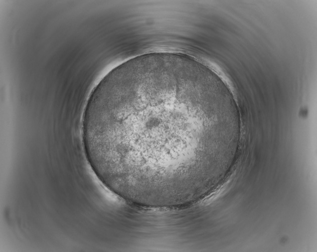 X0000096400803200802071600