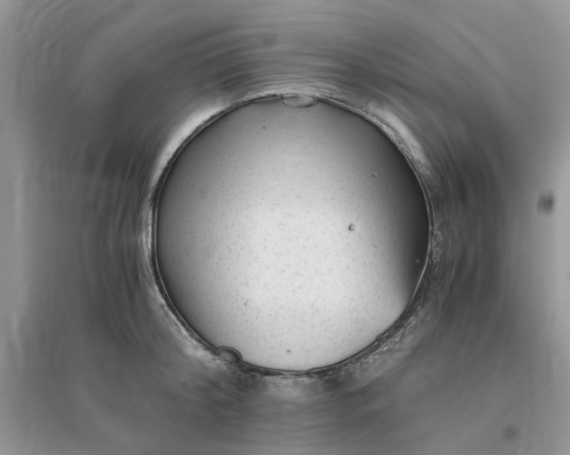 X0000096400804200802071600