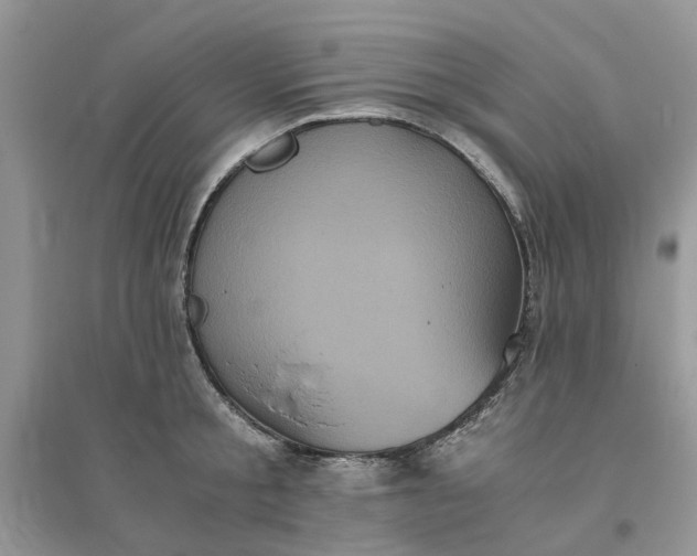 X0000096400805200802071600