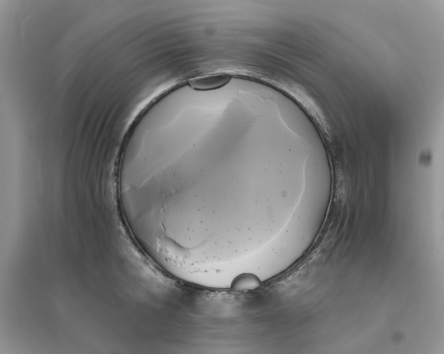 X0000096400806200802071600