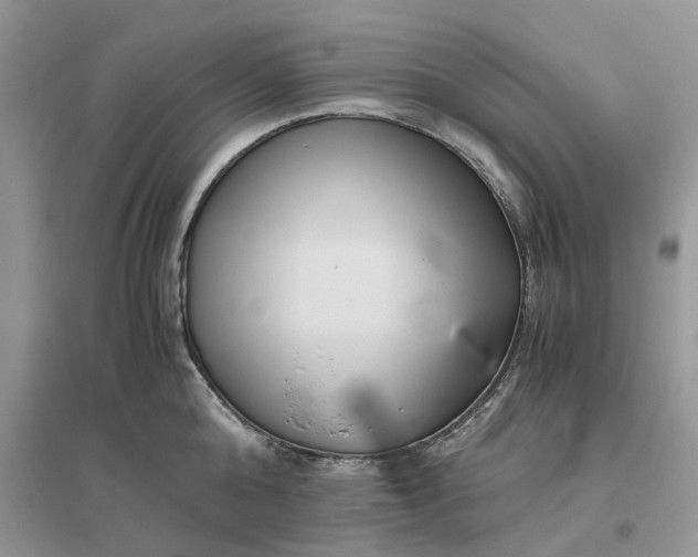 X0000096400808200802071600