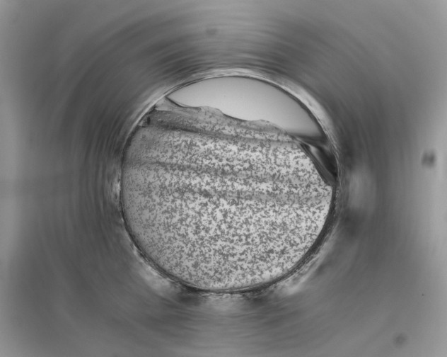 X0000096400809200802071600