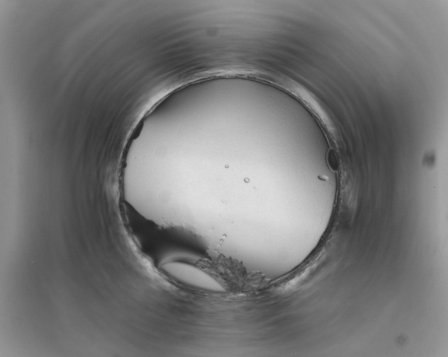 X0000096400810200802071600