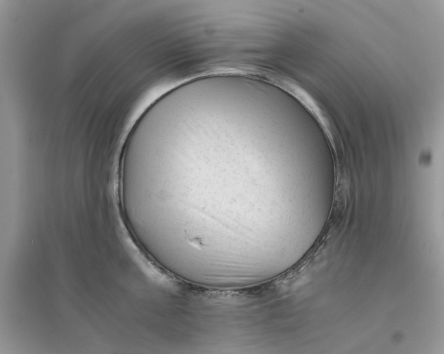 X0000096400811200802071600