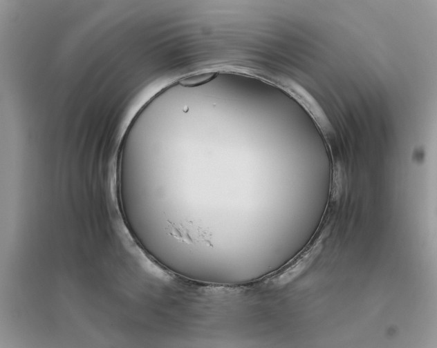 X0000096400812200802071600