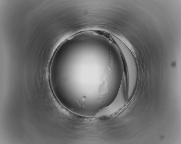 X0000096400813200802071600