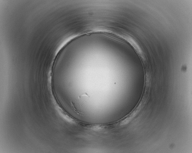 X0000096400814200802071600