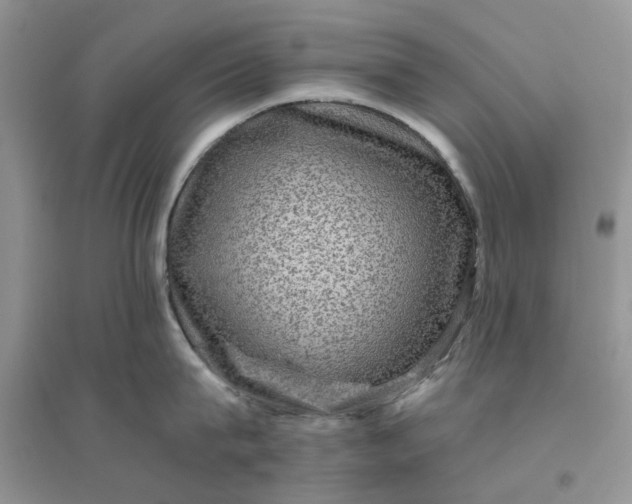 X0000096400815200802071559