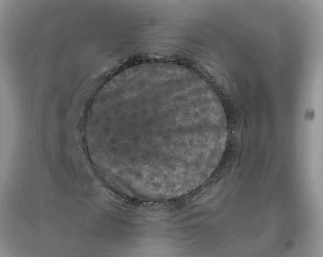 X0000096400817200802071559