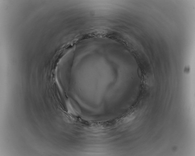 X0000096400818200802071559