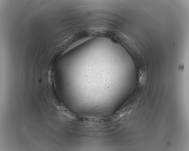 X0000096400819200802071559