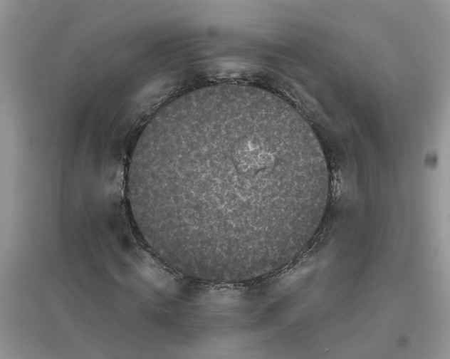 X0000096400820200802071559