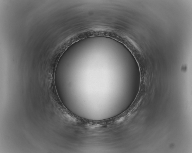 X0000096400821200802071559