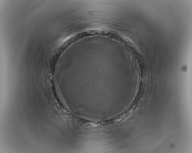 X0000096400822200802071559