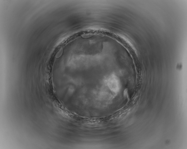 X0000096400823200802071559