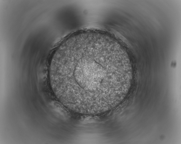 X0000096400824200802071559