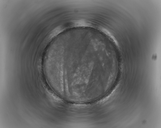 X0000096400825200802071559