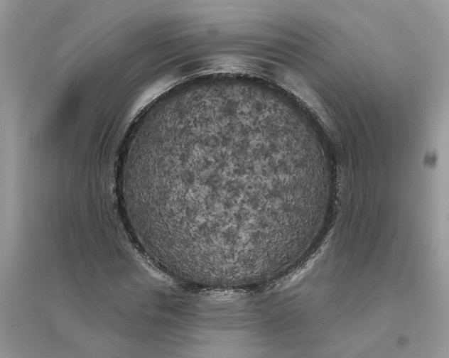 X0000096400826200802071559