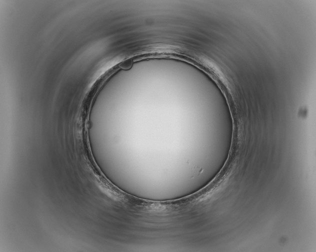 X0000096400827200802071559