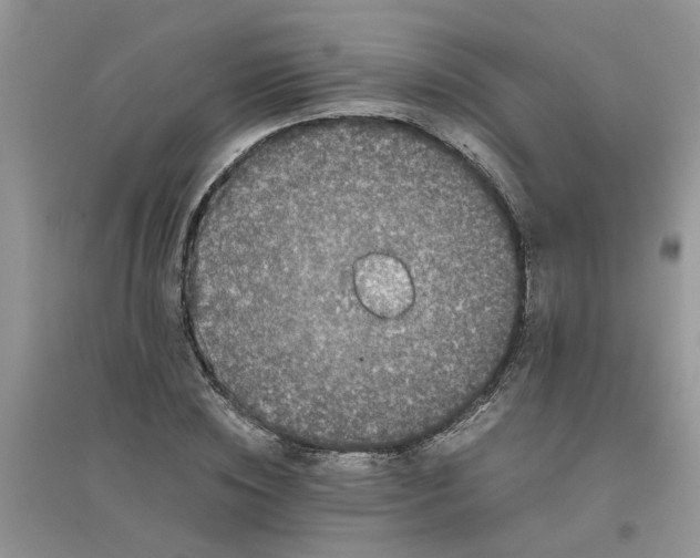 X0000096400828200802071559