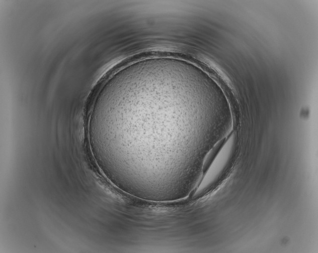 X0000096400829200802071559