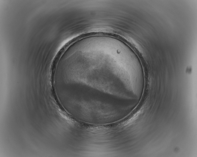 X0000096400830200802071559