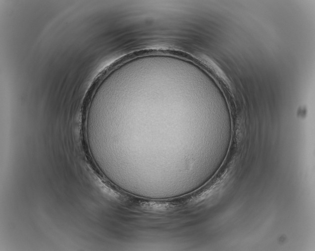 X0000096400831200802071559