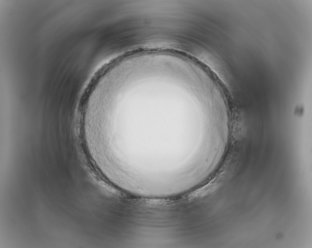 X0000096400832200802071559