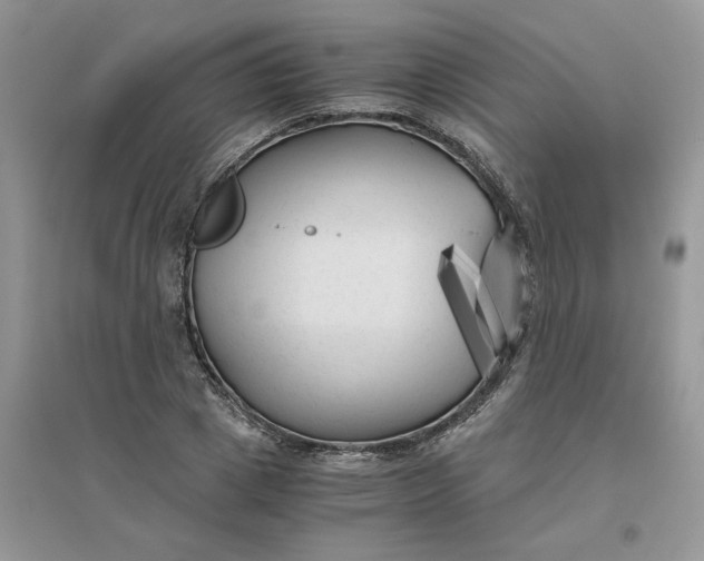 X0000096400833200802071559