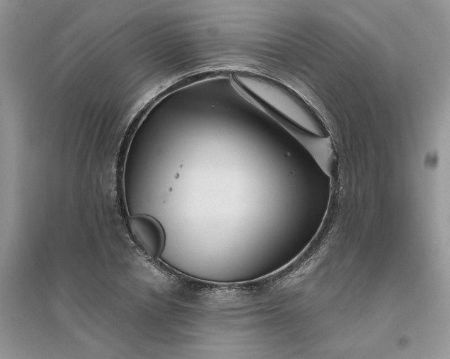 X0000096400834200802071559