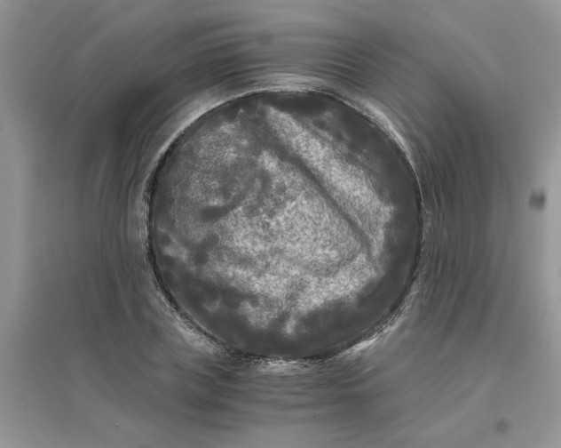 X0000096400835200802071559