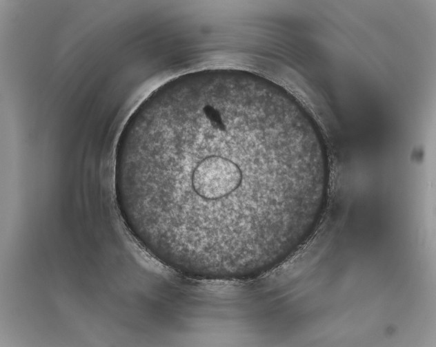 X0000096400836200802071559