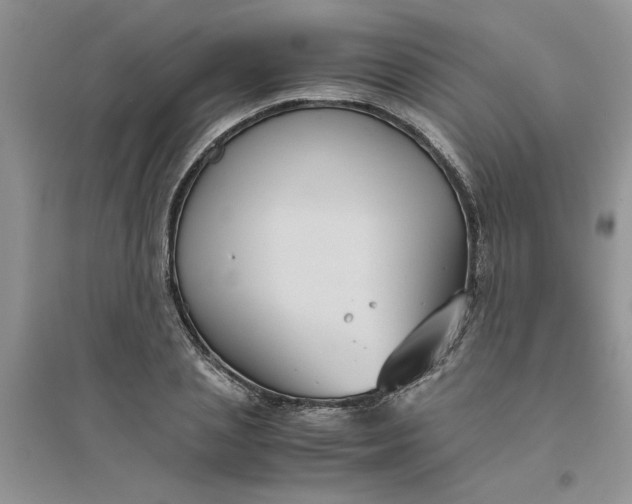 X0000096400837200802071559