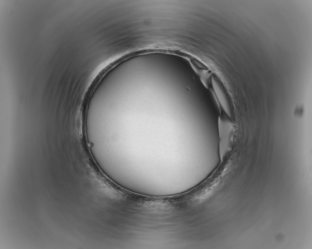 X0000096400838200802071559