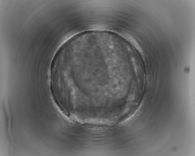 X0000096400839200802071559