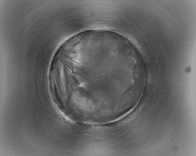 X0000096400840200802071559