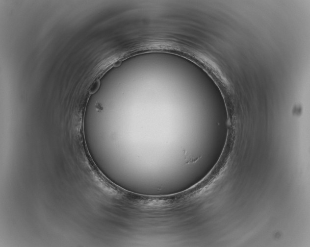 X0000096400841200802071559